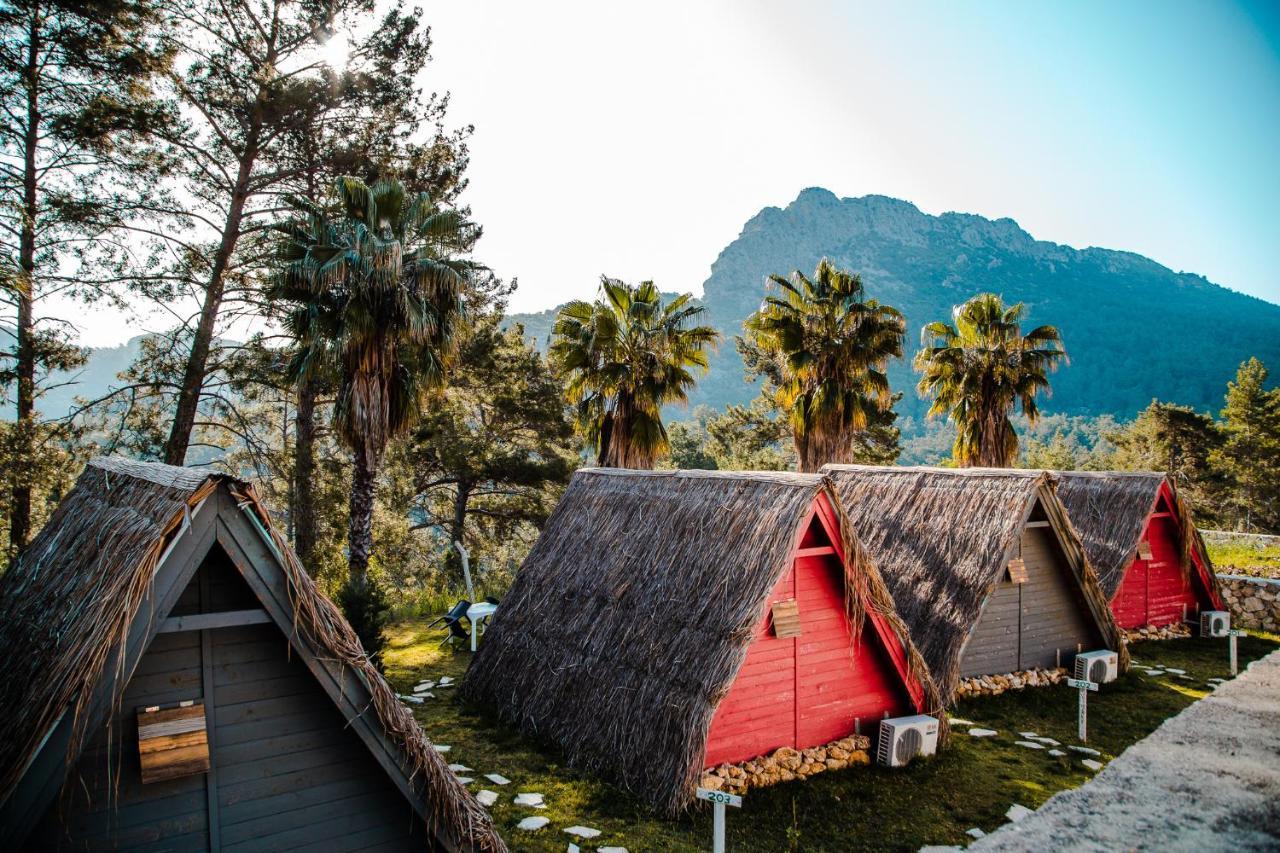 The Hill Glamping Cirali Villa Ngoại thất bức ảnh